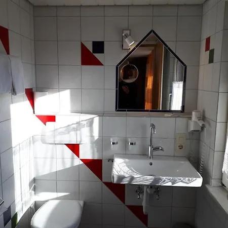 Gasthof Loewen Roens Inn *
